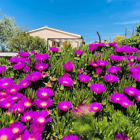 Holiday House Tesser With Pool Galižana Esterno foto