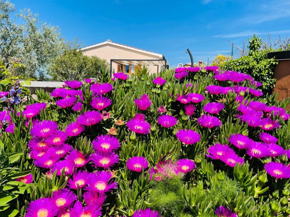 Holiday House Tesser With Pool Galižana Esterno foto